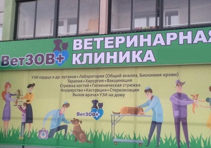 Ветзов+