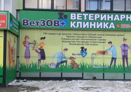 Ветзов+