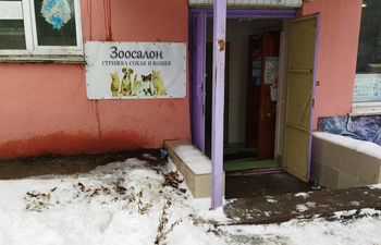 Зоосалон